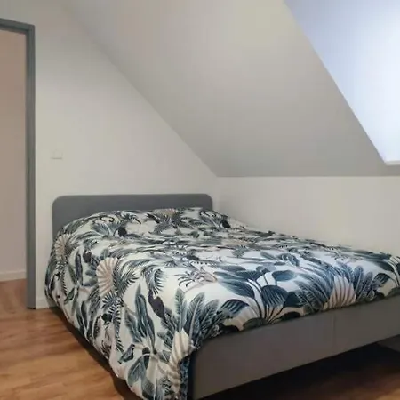 Agreable Maison De 72m2, Avec Terrasse Privee Appartement Boeil-Bezing