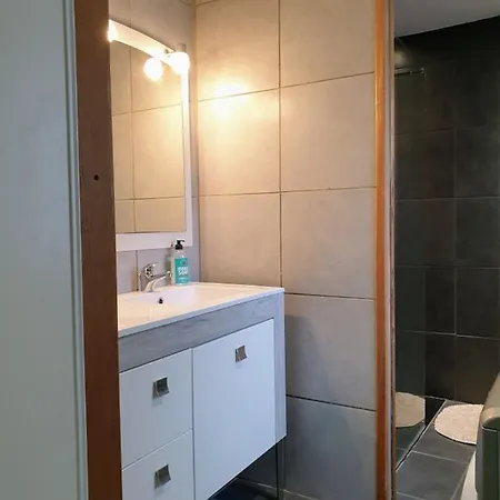 Agreable Maison De 72m2, Avec Terrasse Privee Appartement Boeil-Bezing