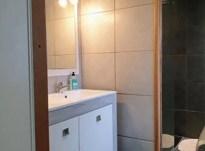 Agreable Maison De 72m2, Avec Terrasse Privee Апартаменты Boeil-Bezing